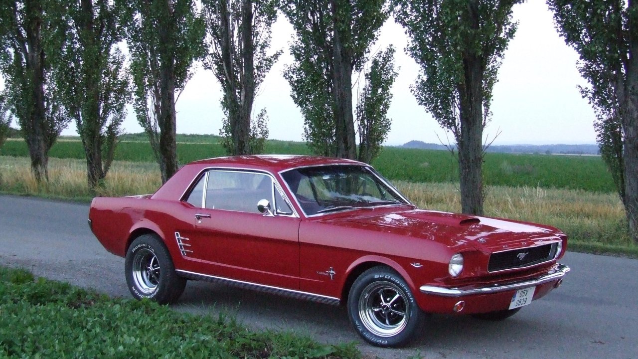 1966 Ford Mustang