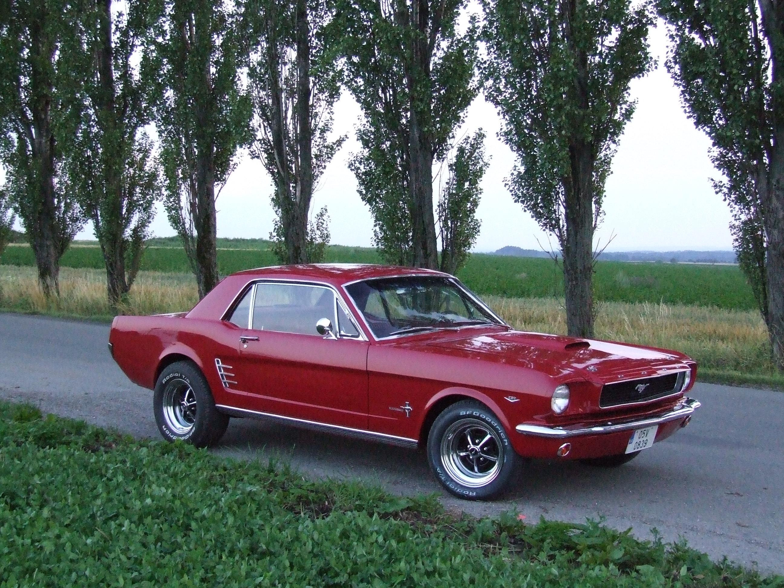 1966 Ford Mustang